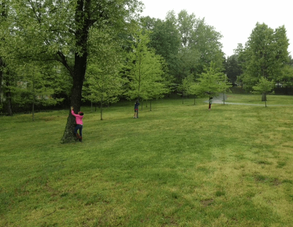 Screen Shot 2016-05-18 at 8.34.04 AM