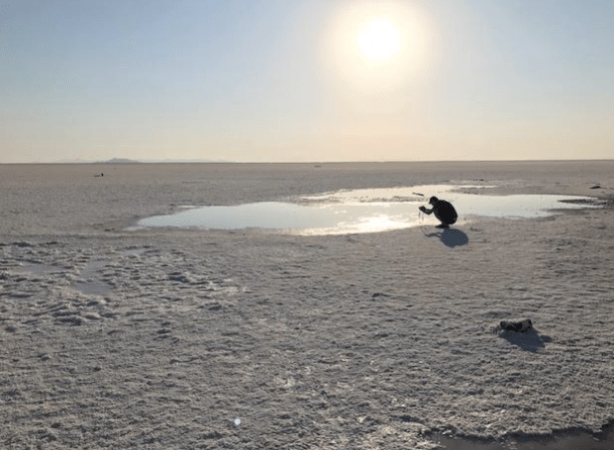 Screen Shot 2017-07-17 at 8.53.45 AM