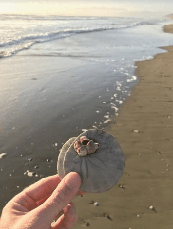 Screen Shot 2017-07-17 at 8.55.48 AM